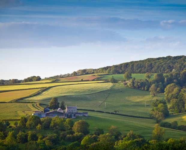 Fuel for today, fuel for the future – a fair transition to net zero for rural communities